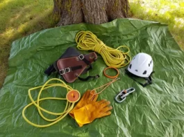 Essential tree climbing gear including saddle, rope, helmet, and tools laid out at the base of a tree.