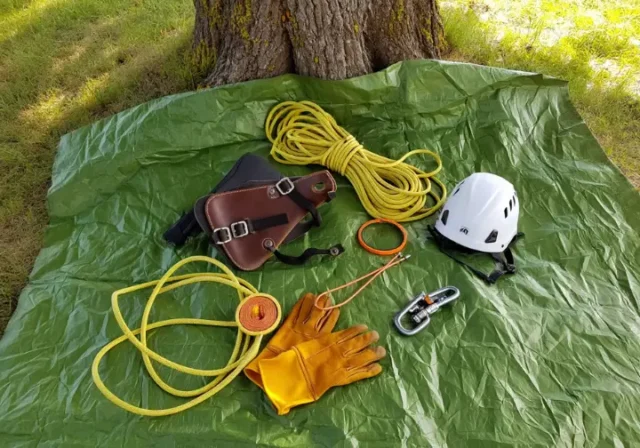 Essential tree climbing gear including saddle, rope, helmet, and tools laid out at the base of a tree.