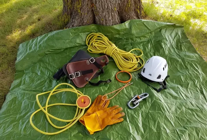 Essential tree climbing gear including saddle, rope, helmet, and tools laid out at the base of a tree.
