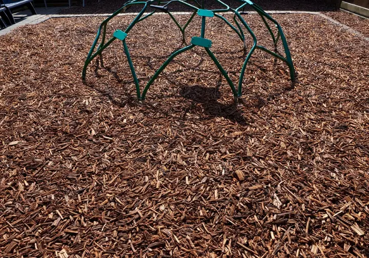 Backyard climbing dome installed safely with proper protective surfacing and clear use zone ensuring safety.