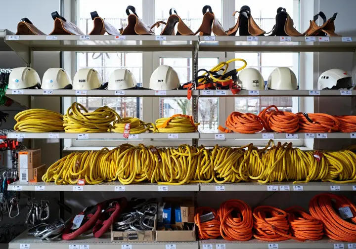 Selection of different tree climbing gear options (saddles, ropes, helmets) displayed in a supply shop.