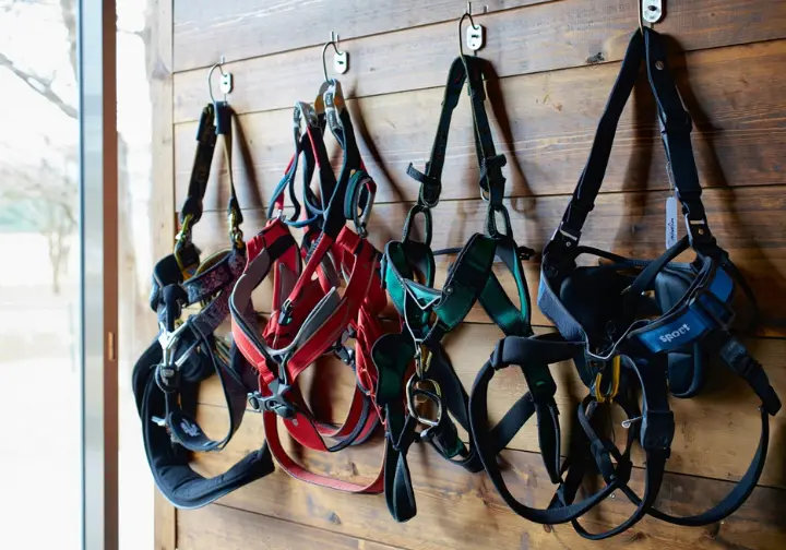 Various types of specialized climbing harnesses displayed, aiding in choosing the right one, relevant for climbers researching gear like harnesses and how to tape fingers for climbing.