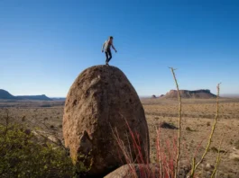 Climber successfully reaching the top of a large boulder in the Big Bend bouldering area, with the expansive Texas desert landscape in the background, illustrating an essential guide to bouldering in the region.