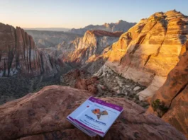 Panoramic view of Red Rock Canyon, Nevada, showcasing the vibrant sandstone cliffs under golden hour light, symbolizing insider trip secrets for climbing in Red Rocks.