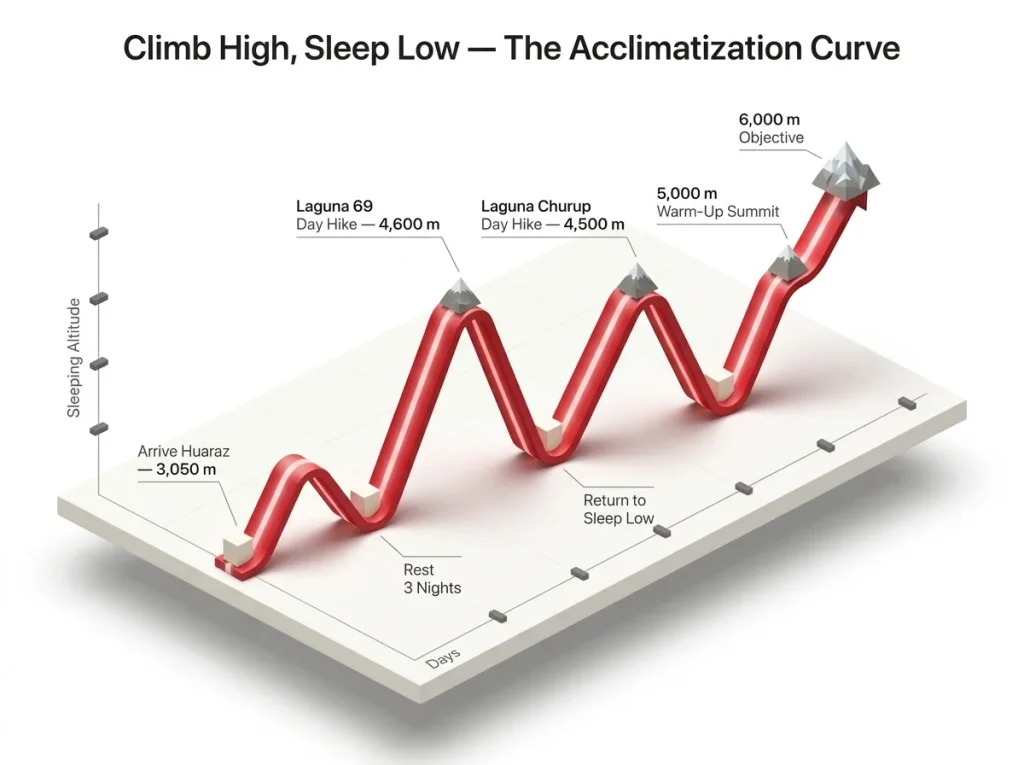 Process diagram showing staged acclimatization timeline with climb high sleep low saw-tooth altitude pattern