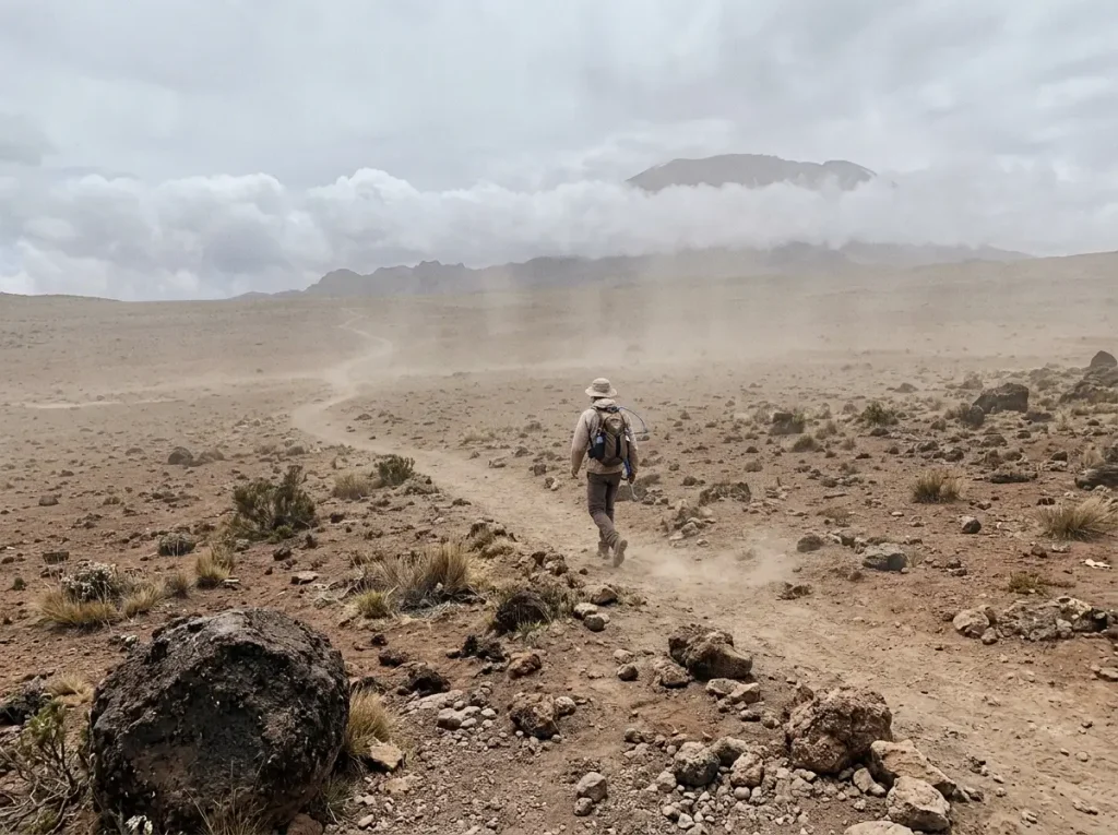 Dusty alpine desert trail on Kilimanjaro during the dry climbing season