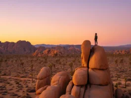 The ultimate Joshua Tree climbing guide [2025] planner: climber on a summit overlooking the iconic desert landscape at golden hour.