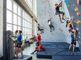 Diverse climbers bouldering and rope climbing in a bright San Francisco gym, representing choosing a gym that fits your vibe.