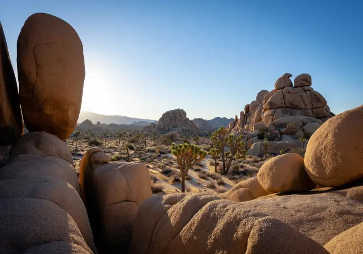 Signature landscape of Joshua Tree National Park with its unique rock formations and desert climate, relevant to a joshua tree bouldering guide.