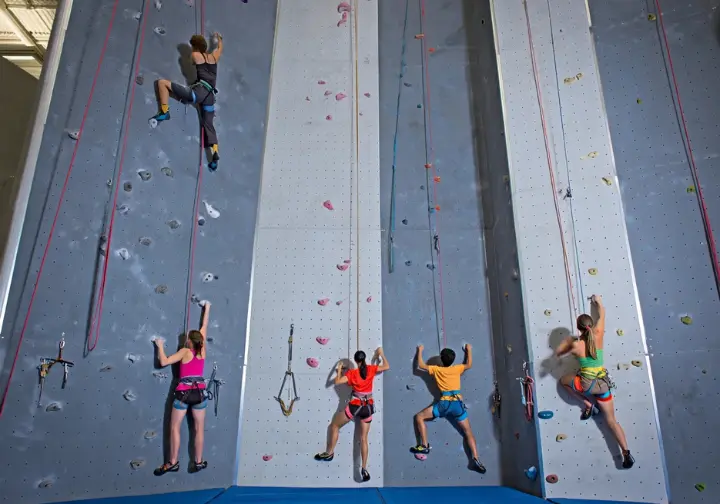 Mission Cliffs (Touchstone) deep dive: Climbers on the tall 50-foot rope climbing walls inside the historic SF gym.