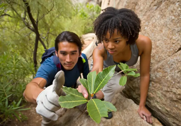 Safety first in San Luis Obispo (SLO) rock climbing: climber identifying poison oak, navigating hazards responsibly.