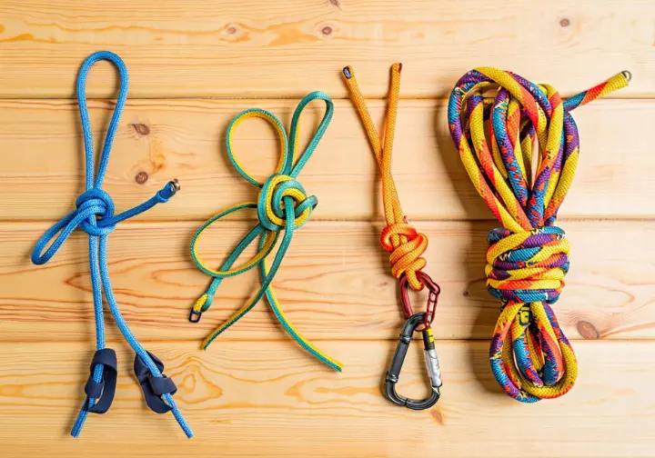A flat lay of perfectly tied foundational sport climbing knots (Figure-Eight, Clove Hitch, Stopper Knot) on climbing ropes, representing essential lifelines for climbers.