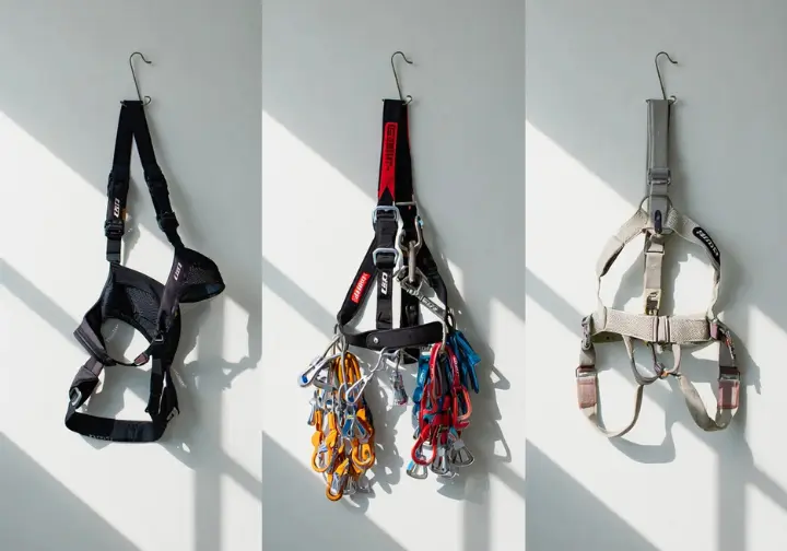 Three different women's rock climbing harnesses (sport, trad, mountaineering) displayed side-by-side, illustrating how to match a harness to your climbing discipline.