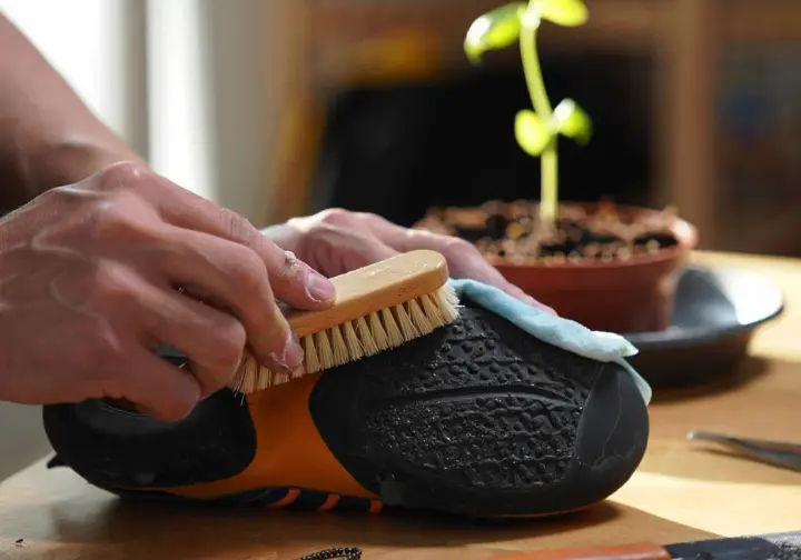 A hand cleaning a climbing shoe, with a plant in the background, illustrating smart ownership and sustainable practices for bouldering gear.