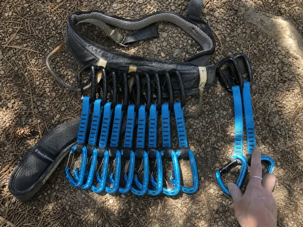 Quickdraws racked on a harness gear loop with every carabiner gate facing the same way