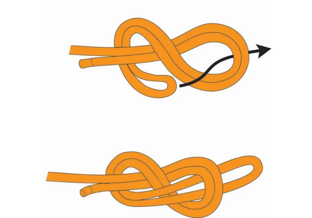 Tie the Figure-Eight on a Bight
