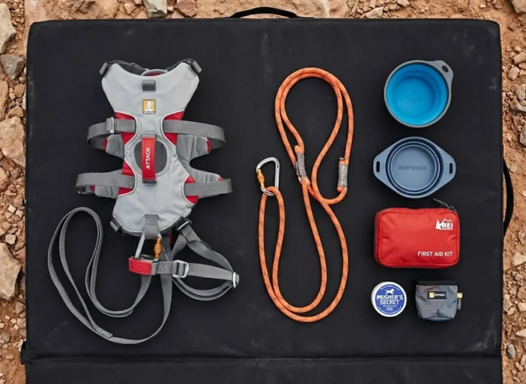 Essential crag dog gear flat lay including safety harness leash and first aid supplies