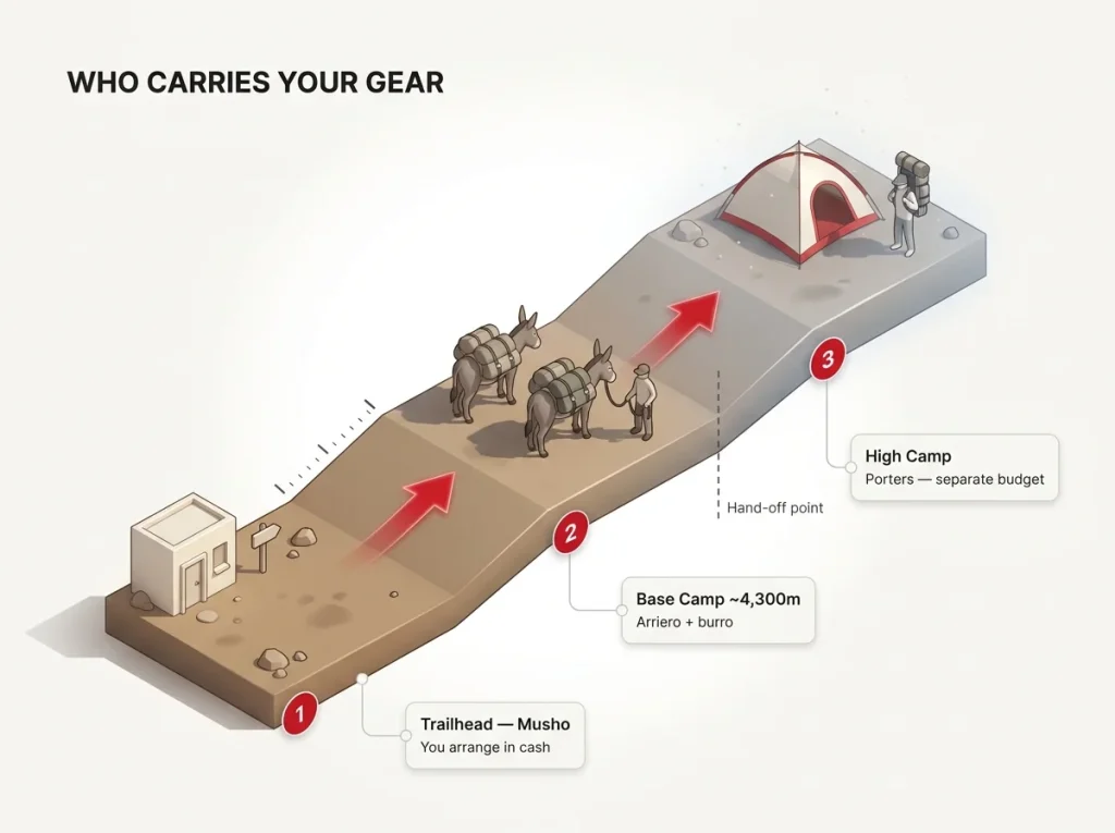 Elevation strip diagram showing gear transport from trailhead to base camp to high camp with the arriero-to-porter hand-off