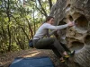 Castle Rock Bouldering California Before You Drive Out Climber pulling on tafoni sandstone pocket at Castle Rock bouldering California