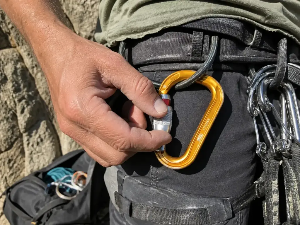 Pear-shaped HMS locking carabiner on a harness belay loop beside wiregate carabiners on a gear loop