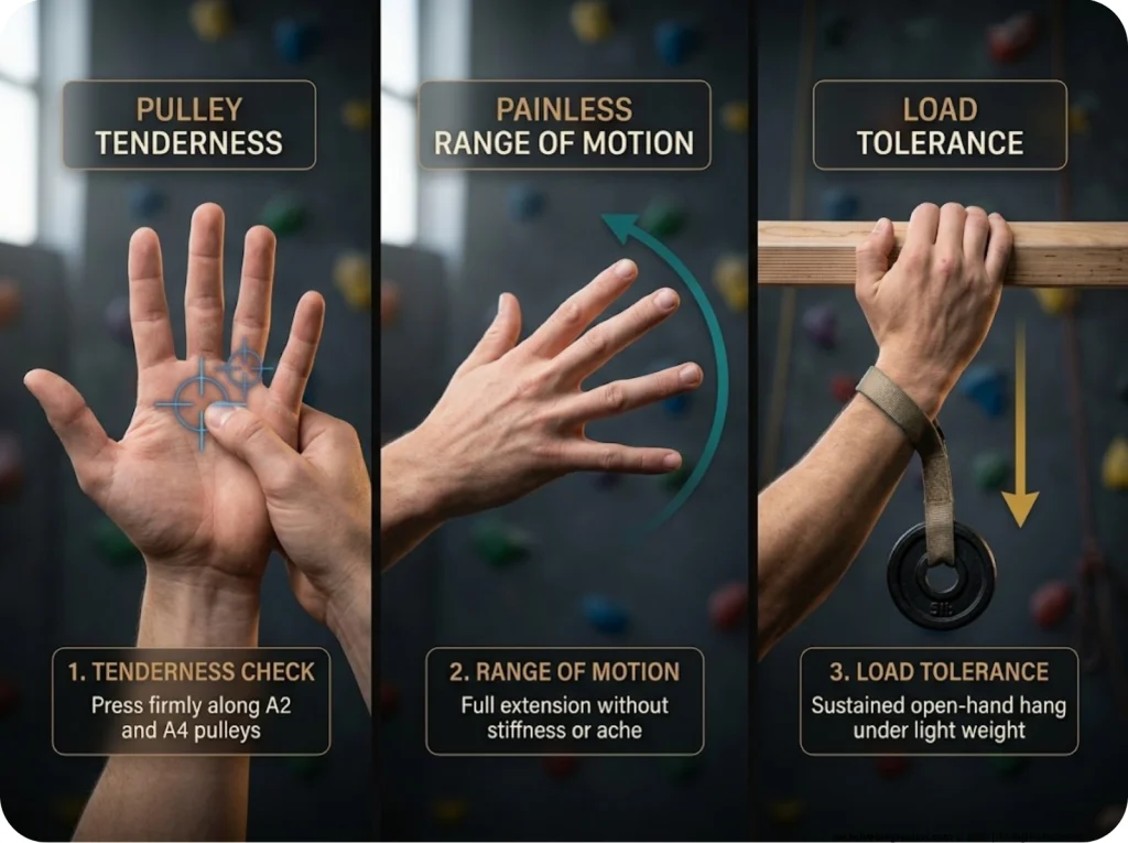 Photographic sequence showing climbing finger pulley checks with tenderness, range of motion, and load tolerance tests