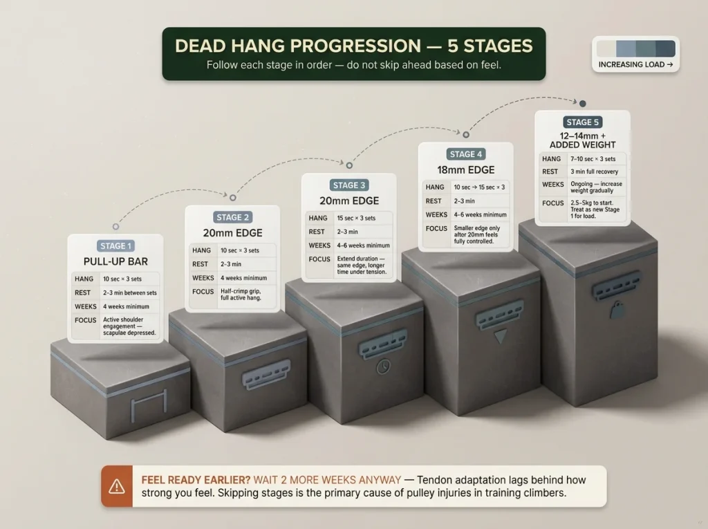 Infographic showing 5-stage dead hang progression with edge depth, duration, sets, and weeks per stage as a staircase chart